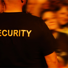 Special Events / VIP / Personal Security Services