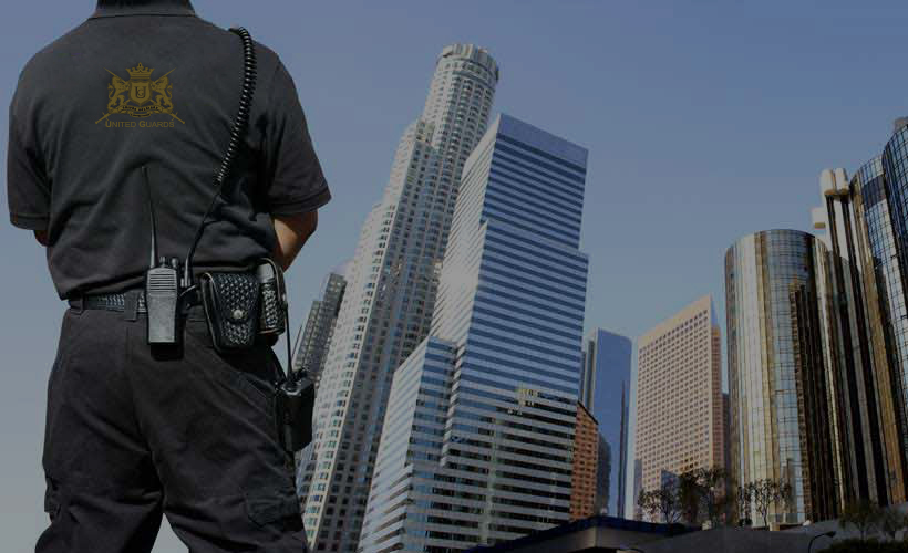 Commercial, Government, & Home Security Services